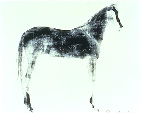 Horse X 12 17k